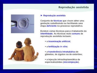 Fertilidade