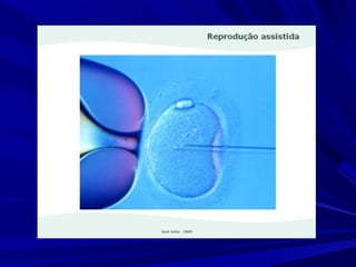 Fertilidade