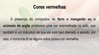 Cores vermelhas
.
A presença de compostos de ferro e manganês ou o
acúmulo de argila produzem uma cor avermelhada no solo, que
também é um indicativo de que ele está bem drenado e aerado, por
isso, o horizonte B de alguns solos possui cor vermelha.
 