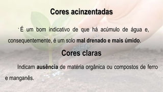 Cores acinzentadas
. É um bom indicativo de que há acúmulo de água e,
consequentemente, é um solo mal drenado e mais úmido.
Indicam ausência de matéria orgânica ou compostos de ferro
e manganês.
Cores claras
 