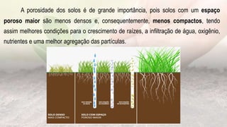 A porosidade dos solos é de grande importância, pois solos com um espaço
poroso maior são menos densos e, consequentemente, menos compactos, tendo
assim melhores condições para o crescimento de raízes, a infiltração de água, oxigênio,
nutrientes e uma melhor agregação das partículas.
 