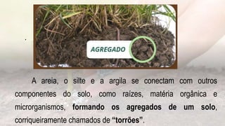 .
A areia, o silte e a argila se conectam com outros
componentes do solo, como raízes, matéria orgânica e
microrganismos, formando os agregados de um solo,
corriqueiramente chamados de “torrões”.
 