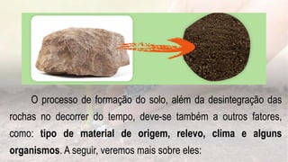 O processo de formação do solo, além da desintegração das
rochas no decorrer do tempo, deve-se também a outros fatores,
como: tipo de material de origem, relevo, clima e alguns
organismos. A seguir, veremos mais sobre eles:
 
