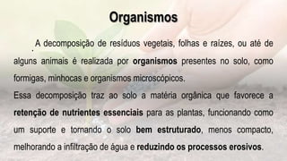 Organismos
.A decomposição de resíduos vegetais, folhas e raízes, ou até de
alguns animais é realizada por organismos presentes no solo, como
formigas, minhocas e organismos microscópicos.
Essa decomposição traz ao solo a matéria orgânica que favorece a
retenção de nutrientes essenciais para as plantas, funcionando como
um suporte e tornando o solo bem estruturado, menos compacto,
melhorando a infiltração de água e reduzindo os processos erosivos.
 