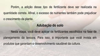Porém, a adição desse tipo de fertilizante deve ser realizada na
quantidade correta. Afinal, o excesso de nutrientes também pode prejudicar
o crescimento da planta.
Adubação do solo
Nesta etapa, você deve aplicar os fertilizantes escolhidos na fase de
planejamento da lavoura. Para isso, é importante que você invista em
produtos que garantam o desenvolvimento saudável da cultura.
 