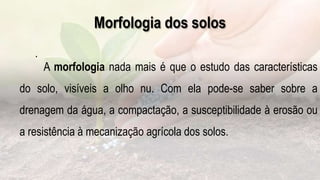 Morfologia dos solos
.
A morfologia nada mais é que o estudo das características
do solo, visíveis a olho nu. Com ela pode-se saber sobre a
drenagem da água, a compactação, a susceptibilidade à erosão ou
a resistência à mecanização agrícola dos solos.
 