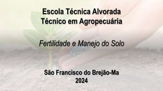 Fertilidade e Manejo do Solo
Escola Técnica Alvorada
Técnico em Agropecuária
São Francisco do Brejão-Ma
2024
 