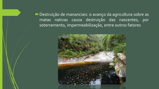 Destruição de mananciais: o avanço da agricultura sobre as
matas nativas causa destruição das nascentes, por
soterramento, impermeabilização, entre outros fatores
 