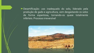 Desertificação: uso inadequado do solo, liderado pela
produção de gado e agricultura, vem desgastando os solos
de forma espantosa, tornando-os quase totalmente
inférteis. Processo irreversível
 