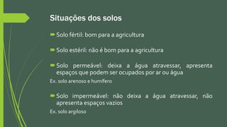 Situações dos solos
Solo fértil: bom para a agricultura
Solo estéril: não é bom para a agricultura
Solo permeável: deixa a água atravessar, apresenta
espaços que podem ser ocupados por ar ou água
Ex. solo arenoso e humífero
Solo impermeável: não deixa a água atravessar, não
apresenta espaços vazios
Ex. solo argiloso
 