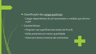 Classificação das cargas positivas:
• Cargas dependentes do pH (aumentam a medida que diminui
o pH)
 Características:
• Originam nas superfícies dos óxidos de Fe e Al
• Estão presentes em menor quantidade
• Adsorvem ânions (maioria são nutrientes)
 
