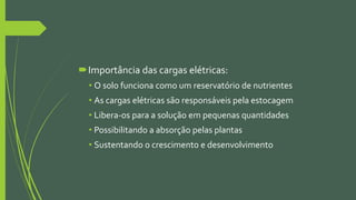 Importância das cargas elétricas:
• O solo funciona como um reservatório de nutrientes
• As cargas elétricas são responsáveis pela estocagem
• Libera-os para a solução em pequenas quantidades
• Possibilitando a absorção pelas plantas
• Sustentando o crescimento e desenvolvimento
 