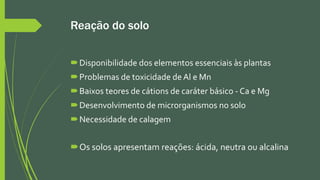 Reação do solo
Disponibilidade dos elementos essenciais às plantas
Problemas de toxicidade de Al e Mn
Baixos teores de cátions de caráter básico - Ca e Mg
Desenvolvimento de microrganismos no solo
Necessidade de calagem
Os solos apresentam reações: ácida, neutra ou alcalina
 