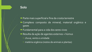 Solo
Parte mais superficial e fina da crosta terrestre
Complexo composto de mineral, material orgânico e
gases
Fundamental para a vida dos seres vivos
Resulta da ação de agentes externos + húmus
• chuva, vento e umidade
• matéria orgânica (restos de animais e plantas)
 
