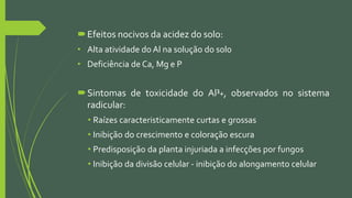 Efeitos nocivos da acidez do solo:
• Alta atividade do Al na solução do solo
• Deficiência de Ca, Mg e P
Sintomas de toxicidade do Al³+, observados no sistema
radicular:
• Raízes caracteristicamente curtas e grossas
• Inibição do crescimento e coloração escura
• Predisposição da planta injuriada a infecções por fungos
• Inibição da divisão celular - inibição do alongamento celular
 