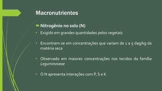Macronutrientes
Nitrogênio no solo (N)
• Exigido em grandes quantidades pelos vegetais
• Encontram-se em concentrações que variam de 1 a 5 dag/kg da
matéria seca
• Observado em maiores concentrações nos tecidos da família
Leguminoseae
• O N apresenta interações com P, S e K
 