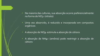 • Na maioria das culturas, sua absorção ocorre preferencialmente
na forma de NO3- (nitrato)
• Uma vez absorvido, é reduzido e incorporado em compostos
orgânicos
• A absorção de NO3- estimula a absorção de cátions
• A absorção de NH4+ (amônia) pode restringir a absorção de
cátions
 