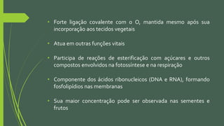 • Forte ligação covalente com o O, mantida mesmo após sua
incorporação aos tecidos vegetais
• Atua em outras funções vitais
• Participa de reações de esterificação com açúcares e outros
compostos envolvidos na fotossíntese e na respiração
• Componente dos ácidos ribonucleicos (DNA e RNA), formando
fosfolipídios nas membranas
• Sua maior concentração pode ser observada nas sementes e
frutos
 