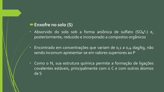 Enxofre no solo (S)
• Absorvido do solo sob a forma aniônica de sulfato (SO4²-) e,
posteriormente, reduzido e incorporado a compostos orgânicos
• Encontrado em concentrações que variam de 0,1 a 0,4 dag/kg, não
sendo incomum apresentar-se em valores superiores ao P
• Como o N, sua estrutura química permite a formação de ligações
covalentes estáveis, principalmente com o C e com outros átomos
de S
 