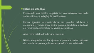 Cálcio do solo (Ca)
• Encontrado nos tecidos vegetais em concentração que pode
variar entre 0,5 a 3 dag/kg da matéria seca
• Forma ligações intermoleculares nas paredes celulares e
membranas, contribuindo, assim, para a estabilidade estrutural
e o movimento intercelular de vários metabólitos
• Atua como catalisador de várias enzimas
• Níveis adequados de Ca ajudam a planta a evitar estresse
decorrente da presença de metais pesados e, ou, salinidade
 