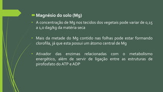 Magnésio do solo (Mg)
• A concentração de Mg nos tecidos dos vegetais pode variar de 0,15
a 1,0 dag/kg da matéria seca
• Mais da metade do Mg contido nas folhas pode estar formando
clorofila, já que esta possui um átomo central de Mg
• Ativador das enzimas relacionadas com o metabolismo
energético, além de servir de ligação entre as estruturas de
pirofosfato do ATP e ADP
 