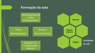 Formação do solo
Decomposição da
rocha
(intemperismo)
Originam os
componentes
minerais
Físico
(desagregação)
Químico
(decomposição)
Minerais
Matéria
orgânica
HÚMUS
Fertilidade
do solo
 