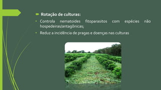  Rotação de culturas:
• Controla nematoides fitoparasitos com espécies não
hospedeiras/antagônicas;
• Reduz a incidência de pragas e doenças nas culturas
 