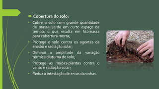  Cobertura do solo:
• Cobre o solo com grande quantidade
de massa verde em curto espaço de
tempo, o que resulta em fitomassa
para cobertura morta;
• Protege o solo contra os agentes da
erosão e radiação solar;
• Diminui a amplitude da variação
térmica diuturna do solo;
• Protege as mudas-plantas contra o
vento e radiação solar;
• Reduz a infestação de ervas daninhas.
 