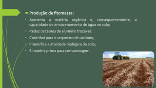 Produção de fitomassa:
• Aumenta a matéria orgânica e, consequentemente, a
capacidade de armazenamento de água no solo;
• Reduz os teores de alumínio trocável;
• Contribui para o sequestro de carbono;
• Intensifica a atividade biológica do solo;
• É matéria prima para compostagem.
 