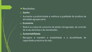 Resultados:
1. Ganho
• Aumenta a produtividade e melhora a qualidade do produto da
atividade agropecuária.
2. Economia
• Reduz os custos do consumo de adubo nitrogenado, do controle
de ervas daninhas e de nematoides.
3. Sustentabilidade
• Recupera e mantém a estabilidade e a durabilidade da
capacidade produtiva do solo.
 
