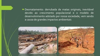 Desmatamento: derrubada de matas originais, inevitável
devido ao crescimento populacional e o modelo de
desenvolvimento adotado por nossa sociedade, vem sendo
a causa de grandes impactos ambientais
 