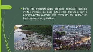 Perda de biodiversidade: espécies formadas durante
muitos milhares de anos estão desaparecendo com o
desmatamento causado pela crescente necessidade de
terras para uso na agricultura
 