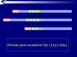 día 28día 14
día 32día 18
día 24día 10
Período post-ovulatorio fijo (14+2 días)
 