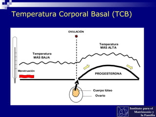 Temperatura Corporal Basal (TCB)
PROGESTERONA
Temperatura
MÁS ALTA
Cuerpo lúteo
Ovario
Temperatura
MÁS BAJA
OVULACIÓN
Menstruación
PFN Instituto de Bioética-UCA
 