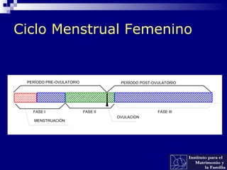 Ciclo Menstrual Femenino
MENSTRUACIÓN
OVULACION
FASE I FASE II FASE III
PERÍODO PRE-OVULATORIO PERÍODO POST-OVULATORIO
 