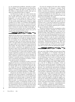no, las cianobacterias proliferan, alterando el equili-          El exceso de nitrógeno del suelo afecta también
       brio ecológico. Y al descomponerse las floraciones,          de otras maneras a los bosques y campos. Puede
       absorben el oxígeno del agua, un cambio al que el            reducir la resistencia al frío en ciertas especies de
       Mar Báltico es especialmente sensible, dado que sus          árboles y hacerlos más propensos a las enfermedades
       aguas son relativamente bajas en oxígeno.                    o a la muerte durante el invierno. Igualmente tiende
           Las floraciones de algas y las zonas muertas hoy         a reducir la densidad de las raíces finas que a su vez
       son un rasgo regular de la vida costera en muchos            restringe la captación de agua y nutrientes y hace a las
       otros lugares del mundo, desde la costa de Nueva             plantas más susceptibles a la sequía.
       Inglaterra, a la costa oriental de India, y frente a             A nivel de comunidad, el nitrógeno es una fuerza
       Japón y Corea. La mayoría de los ecosistemas coste-          homogeneizadora, porque favorece las especies de
       ros del mundo sufren algún grado el hipoxia. Según           plantas de crecimiento rápido que pueden usar el
       científicos de la FAO y la Comisión Oceanográfica            nutriente extra, a costa de las especies de crecimiento
       Internacional, los años ochenta y noventa vieron una         lento que no pueden hacerlo. Las áreas afectadas pue-
       proliferación de mareas rojas. Igualmente ha aumen-          den mostrar un crecimiento aparente pero es proba-
       tado el número de especies de algas involucradas. A          ble que sea bastante uniforme.
       comienzos de los noventa, sólo se conocían 20 espe-              Durante los últimos años los investigadores indios
       cies que provocaran floraciones tóxicas; hoy, por lo         han detectado grandes cantidades de óxido nitroso
       menos se han identificado 85 especies.                       procedente del Mar Arábigo, frente a las costas occi-
                                                                    dentales de India. Tales emisiones contribuyen con un
                                                                    21 por ciento del total del gas procedente de los océ-
       Algunos de los efectos de la contaminación por nitró-        anos. En las capas altas de la atmósfera, el óxido nitro-
       geno son mucho más sutiles que las mareas rojas, pero        so tiende a destruir la capa de ozono estratosférico
       aún más peligrosos. Los óxidos de nitrógeno genera-          que protege la Tierra contra la dañina radiación ultra-
       dos en la quema de los combustibles fósiles son un           violeta. El óxido nitroso también es un potente gas de
       componente básico de las lluvias ácidas que afecta al        invernadero. Molécula-por-molécula, es 200 veces
       suelo y a las aguas dulces en muchas partes del mundo.       más potente en retener el calor que el CO2. Por suer-
       Las aguas cada vez más ácidas tienen menos formas de         te, es menos común que el CO2, pero aún así repre-
       vida acuática. De forma similar, la acidificación de la      senta del 2 al 3 por ciento del calentamiento global.
       tierra tiende a empobrecer los organismos del suelo.
       En parte se debe a que el ácido libera los iones de alu-
       minio de la matriz mineral en la que está normalmen-
       te. El aluminio libre es tóxico para las plantas, y para     ¿Por qué emite el Mar Arábigo tanto gas nitroso? Rajiv
       muchos organismos acuáticos en los arroyos. El ácido         Naqvi, investigador en el Instituto Nacional de
       también provoca la lixiviación de ciertos minerales. El      Oceanografía de India ve una relación con la agricul-
       calcio, magnesio y potasio son nutrientes esenciales de      tura intensiva. Durante las últimas cuatro décadas, el
       la planta y a menudo escasean. Al reducirse su aporta-       uso de fertilizantes creció mucho en la llanura costera
       ción, el crecimiento de las plantas se resiente, y nume-     occidental de India, como en el conjunto del país.
       rosas especies pueden desaparecer.                           (Según las estadísticas de FAO, el consumo de fertili-
           Estos minerales se incorporan al suelo a través del      zantes de India se duplicó entre 1965 y 1998, hasta lle-
       desgaste de las rocas, en un proceso muy lento. La aci-      gar a más de 11 millones de toneladas.) Como en
       dificación podría reducir la productividad de los sue-       muchas zonas costeras del mundo, el nitrógeno resul-
       los durante siglos. El caso extremo son algunos culti-       tante alimenta a las cianobacterias y a otras especies de
       vos, donde el exceso de fertilizante podría jugar el         plancton. Las cianobacterias generalmente producen
       papel de las lluvias ácidas. Según Phillip Barak, la lixi-   algo de óxido nitroso cuando crecen, pero su actividad
       viación a causa del nitrógeno podría “envejecer” algu-       en estas aguas se debe a otro factor poderoso: los mon-
       nos suelos por un periodo equivalente a 5.000 años.          zones de junio a septiembre. Puesto que el agua dulce
           Durante las dos últimas décadas, los países indus-       es más ligera que el agua salada, las intensas lluvias del
       trializados han hecho progresos considerables en la          monzón tienden a cubrir la superficie del océano y
       reducción de las emisiones de uno de los ingredientes        reducen la aeración del agua más salada de abajo. Eso
       principales de las lluvias ácidas: el dióxido de azufre      reduce el nivel del oxígeno, y la falta de oxígeno oca-
       generado en la combustión de carbón con alto conte-          siona que las cianobacterias metabolicen nitrógeno de
       nido de azufre. La sustitución por carbón con bajo           tal forma que se libera grandes cantidades de óxido
       contenido de azufre y la instalación de filtros en las       nitroso. Este efecto parece haberse exacerbado en años
       centrales termoeléctricas ha reducido mucho este tipo        recientes debido a monzones extraordinariamente
       de contaminación. Pero las medidas han sido menos            fuertes, un posible resultado del cambio climático.
       eficientes en la reducción de los compuestos de nitró-           Los datos de los glaciares indican que la concentra-
       geno emitidos por la quema de combustibles fósiles.          ción atmosférica de óxido nitroso era estable hasta hace
3

46   WORLD•WATCH     2001
 