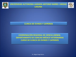 Dr. Miguel Angel Ibarra UNIVERSIDAD AUTONOMA AGRARIA ANTONIO NARRO. UNIDAD LAGUNA CLINICA DE OVINOS Y CAPRINOS COORDINACIÓN REGIONAL DE CIENCIA ANIMAL  DEPARTAMENTO DE CIENCIAS MÉDICO VETERINARIAS CURSO DE CLINICA DE OVINOS Y CAPRINOS 