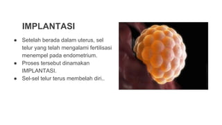 Comprehensive Overview of Fertilization and Early Pregnancy Processes ...
