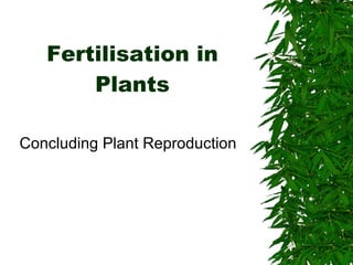 Fertilisation in Plants Concluding Plant Reproduction 