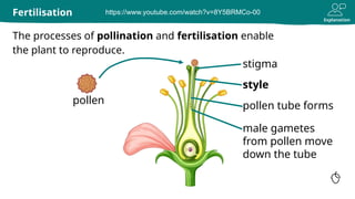 Plant fertilization and seed formation.pptx