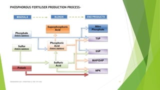 ABHINANDINI DAS ( 00920705613) ENE-5TH SEM 10
PHOSPHOROUS FERTILISER PRODUCTION PROCESS-
 