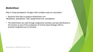 ABHINANDINI DAS ( 00920705613) ENE-5TH SEM 23
Biofertiliser
Help in fixing atmospheric nitrogen when suitable crops are inoculated .
• Bacterias that help to produce biofertilisers are-
Rhizobium, Azotobacter, PSB, Azospirillium and Acetobacter.
• The biofertilisers are sold through cooperative societies and also distributed to
the farmers as one of the component of Critical Input Package (CIP) to
promote integrated use of nutrients.
 