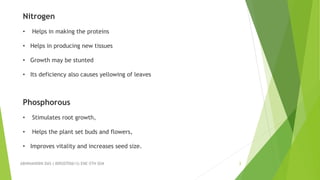 ABHINANDINI DAS ( 00920705613) ENE-5TH SEM 3
Nitrogen
• Helps in making the proteins
• Helps in producing new tissues
• Growth may be stunted
• Its deficiency also causes yellowing of leaves
Phosphorous
• Stimulates root growth,
• Helps the plant set buds and flowers,
• Improves vitality and increases seed size.
 