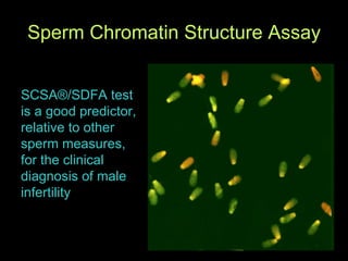 Sperm Chromatin Structure Assay SCSA®/SDFA test is a good predictor,   relative to other sperm measures, for the clinical diagnosis of male infertility 