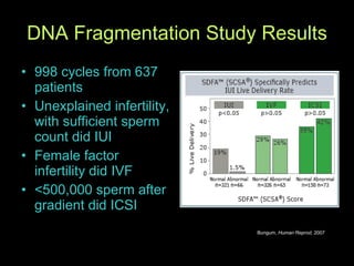 DNA Fragmentation Study Results 998 cycles from 637 patients Unexplained infertility, with sufficient sperm count did IUI Female factor infertility did IVF <500,000 sperm after gradient did ICSI Bungum,  Human Reprod , 2007 