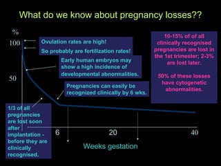What do we know about pregnancy losses?? 6  20   40 Weeks gestation 100 50 % Pregnancies can easily be recognized clinically by 6 wks. Ovulation rates are high! So   probably are fertilization rates! Early human embryos may show a high incidence of developmental   abnormalities. 10-15% of of all clinically recognised pregnancies are lost in the 1st trimester; 2-3% are lost later. 50% of these losses have cytogenetic abnormalities. 1/3 of all pregnancies are lost soon after implantation - before they are clinically recognised. 