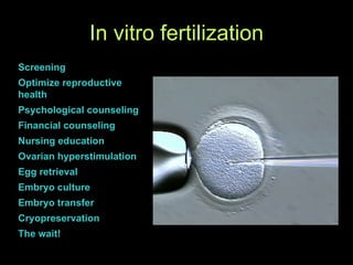 In vitro fertilization Screening Optimize reproductive health Psychological counseling Financial counseling Nursing education Ovarian hyperstimulation Egg retrieval  Embryo culture  Embryo transfer Cryopreservation The wait! 