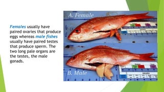 Fertility and Level of Maturity of Sexual Products(1).pptx