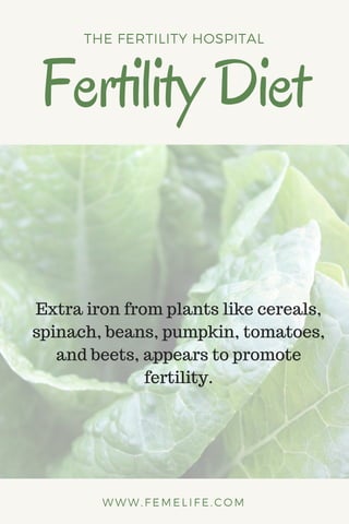 FertilityDiet
THE FERTILITY HOSPITAL
WWW.FEMELIFE.COM
Extra iron from plants like cereals,
spinach, beans, pumpkin, tomatoes,
and beets, appears to promote
fertility.