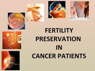 FERTILITY
PRESERVATION
IN
CANCER PATIENTS
 